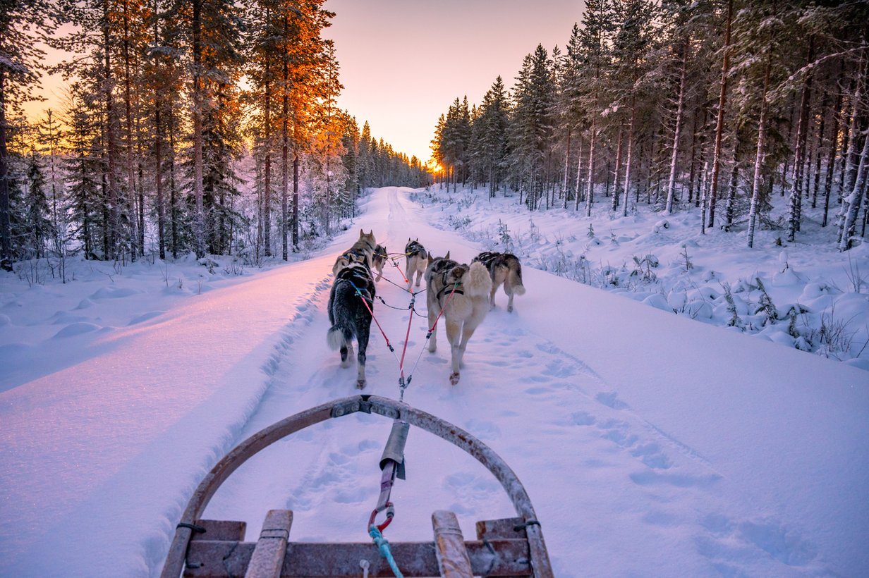 9 dagen skisafari Noorwegen