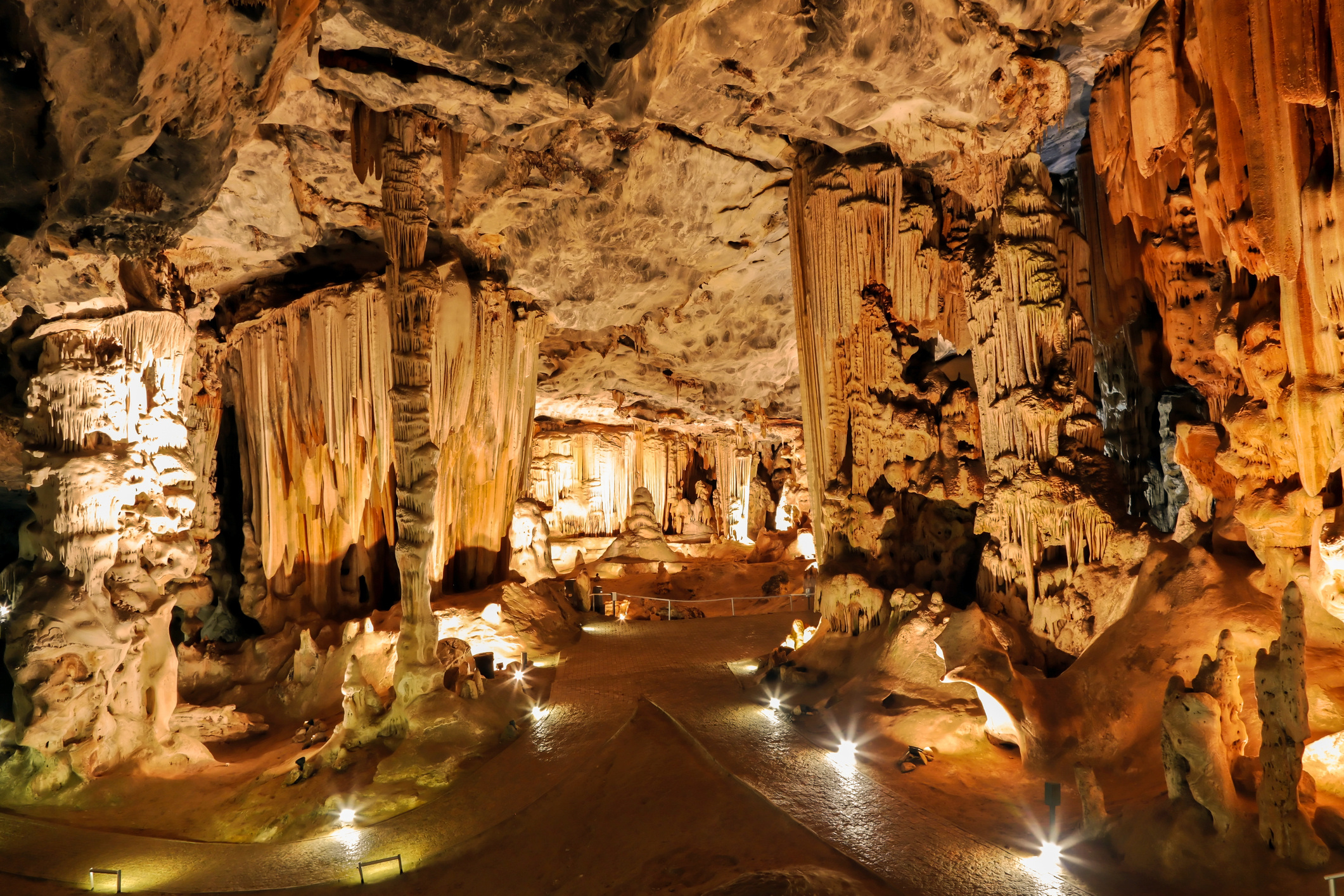 Meerkatten Tour - Cango Caves