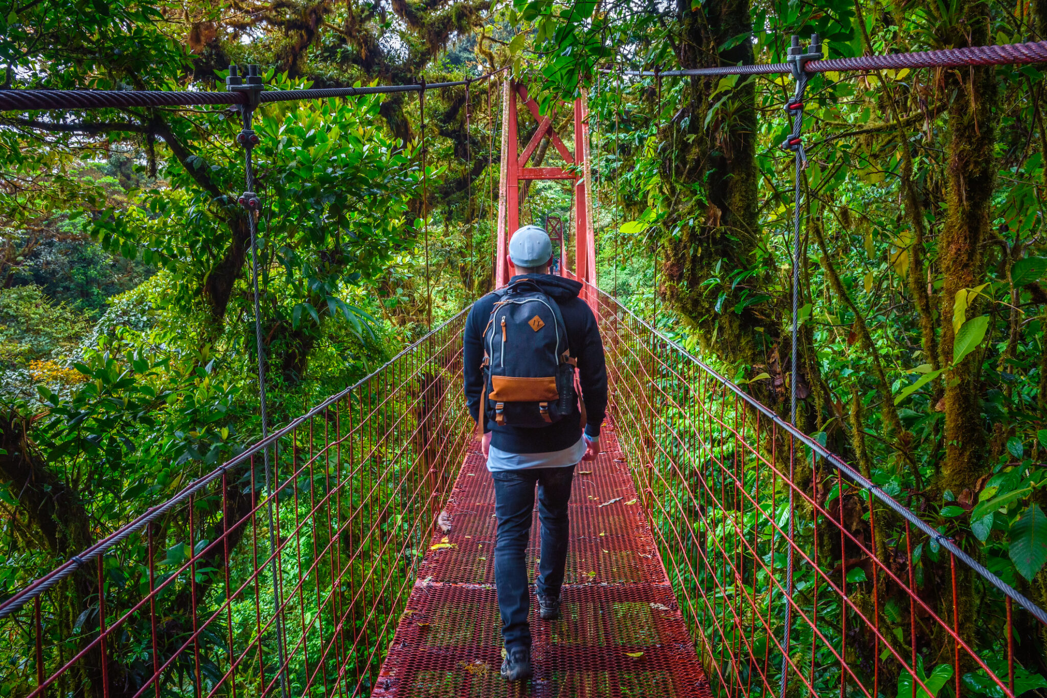 Santa Elena – De hangende bruggen van Monteverde