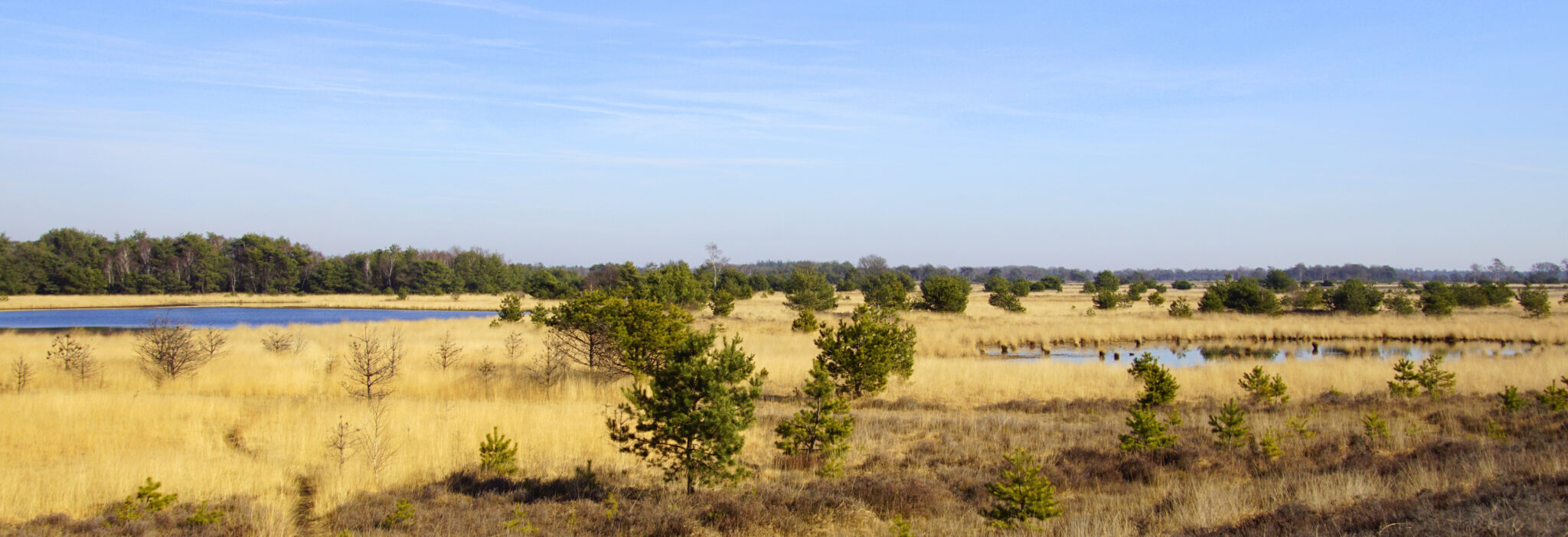 Venray en omgeving