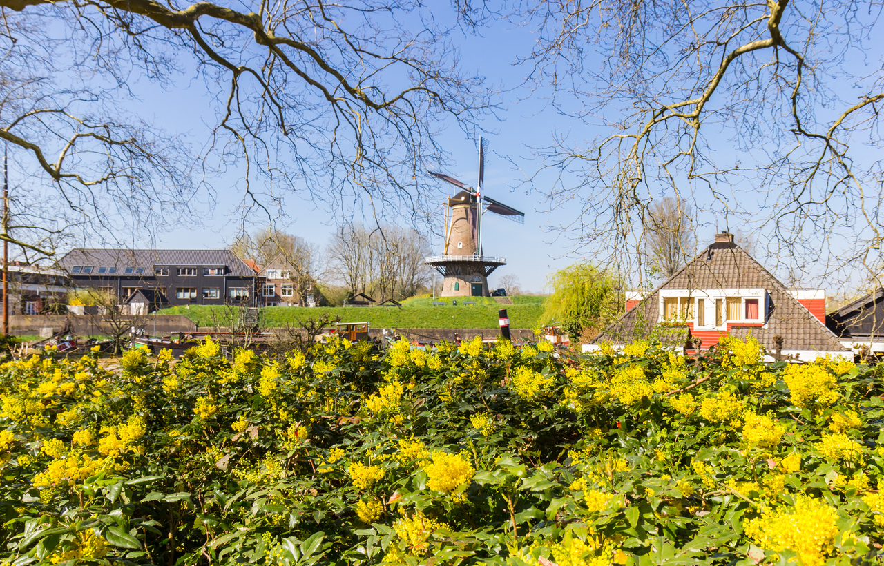 Gorinchem