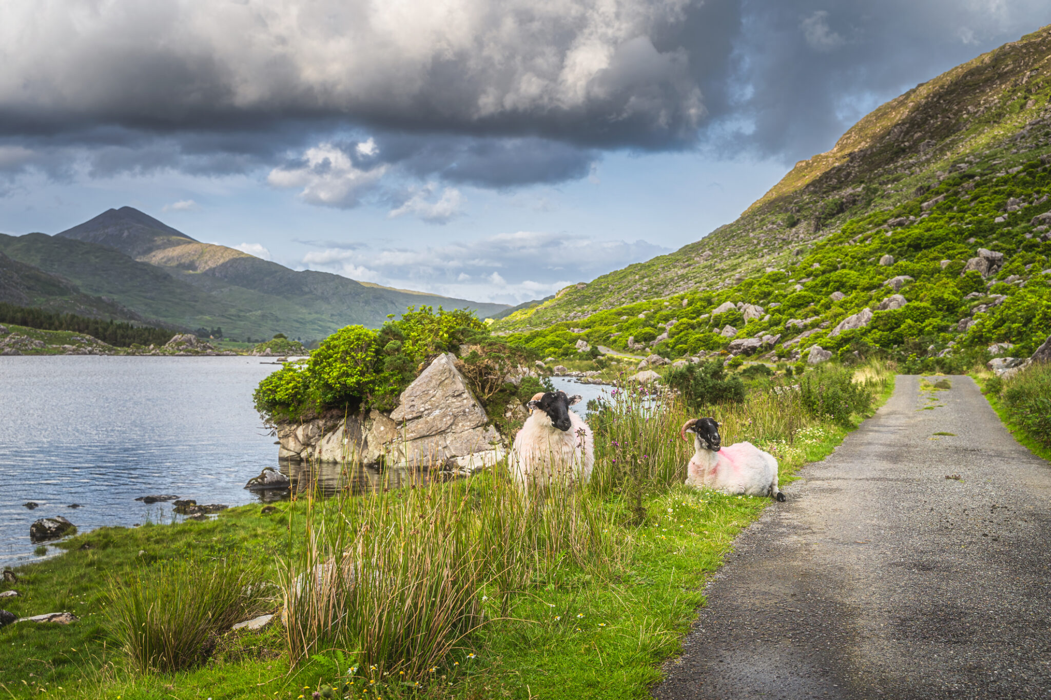 Cork – Blarney Castle – Ring of Kerry – Limerick