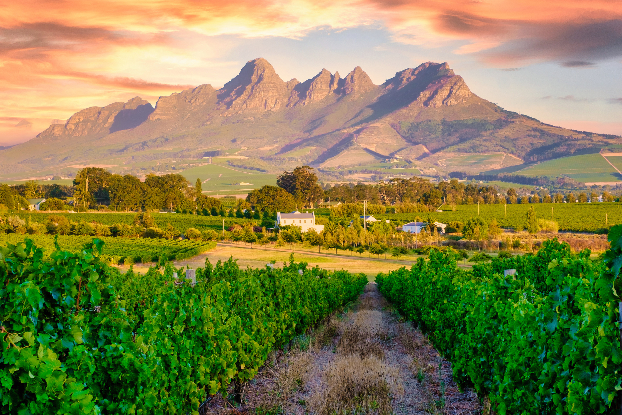 Stellenbosch