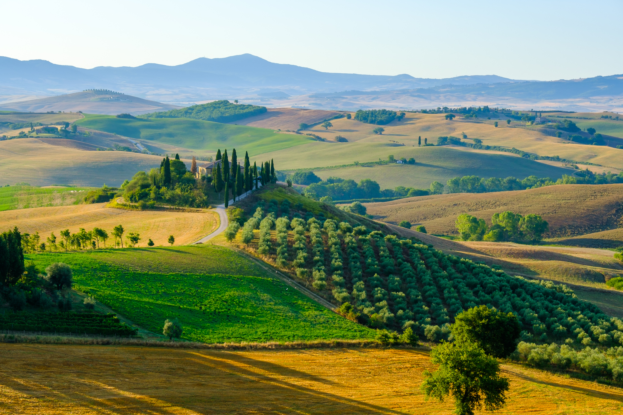 8 dagen Toscane in busreis