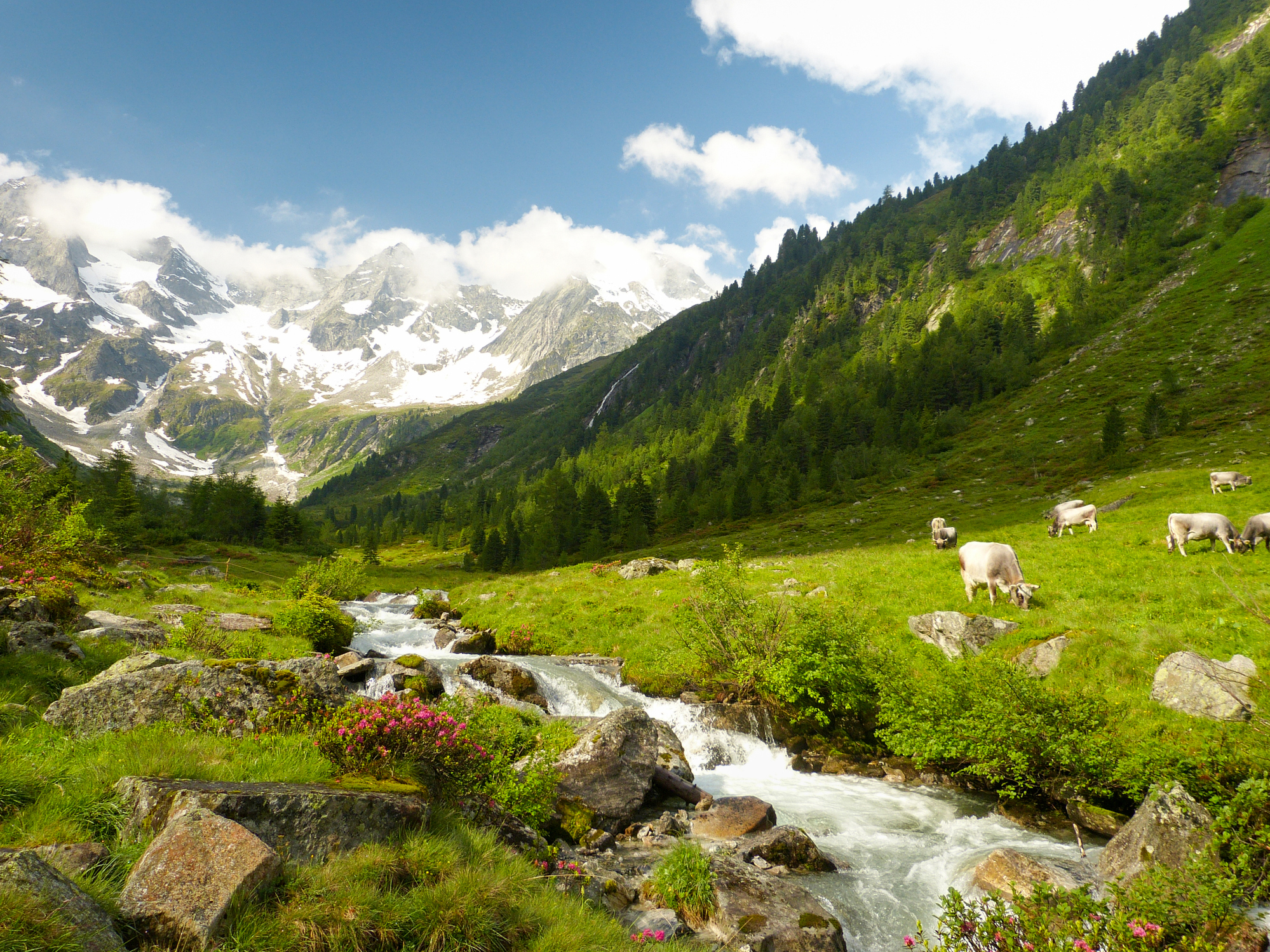 Zillertal