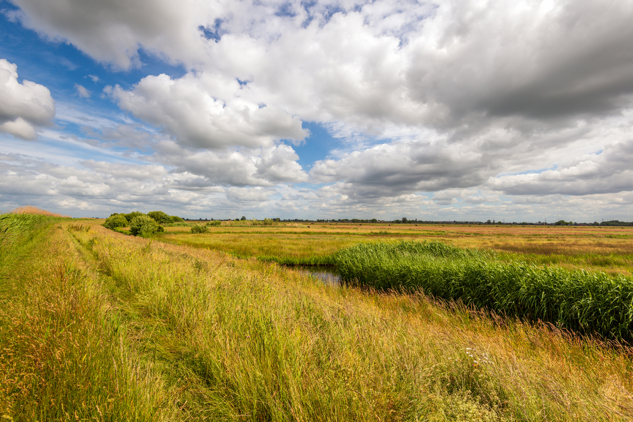 Alblasserwaard