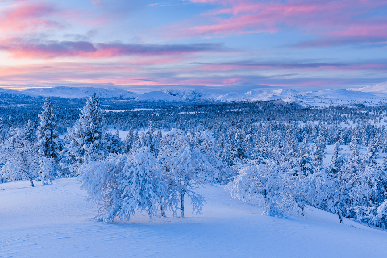 9 dagen skisafari Noorwegen