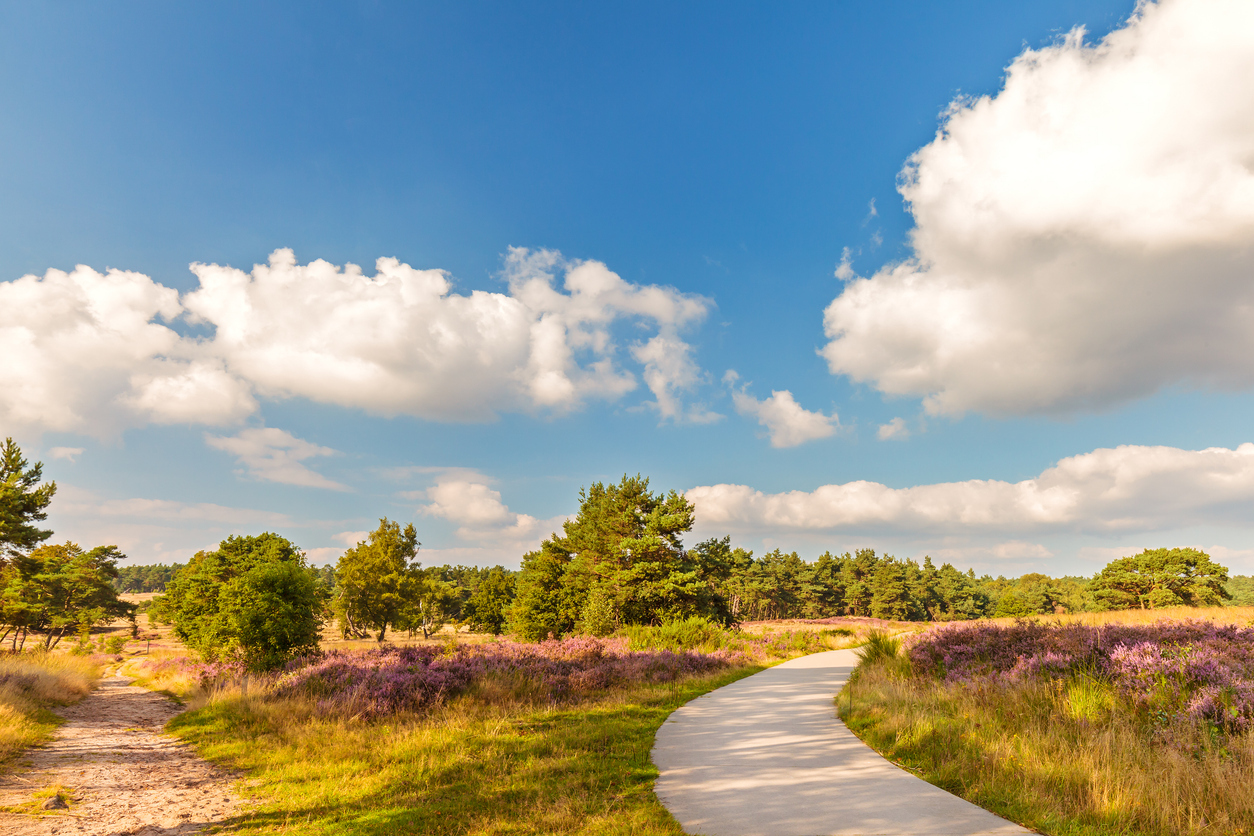 5 dagen Veluwe