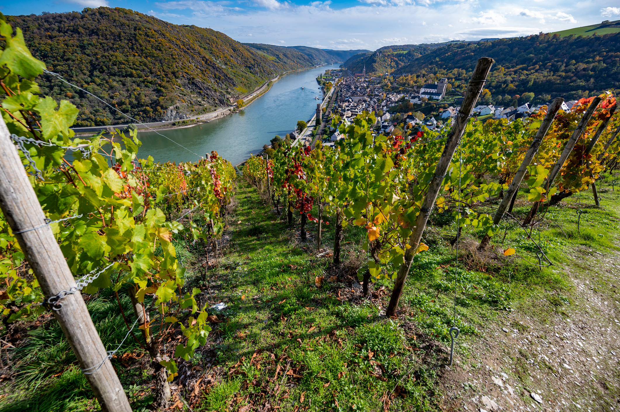 Boppard