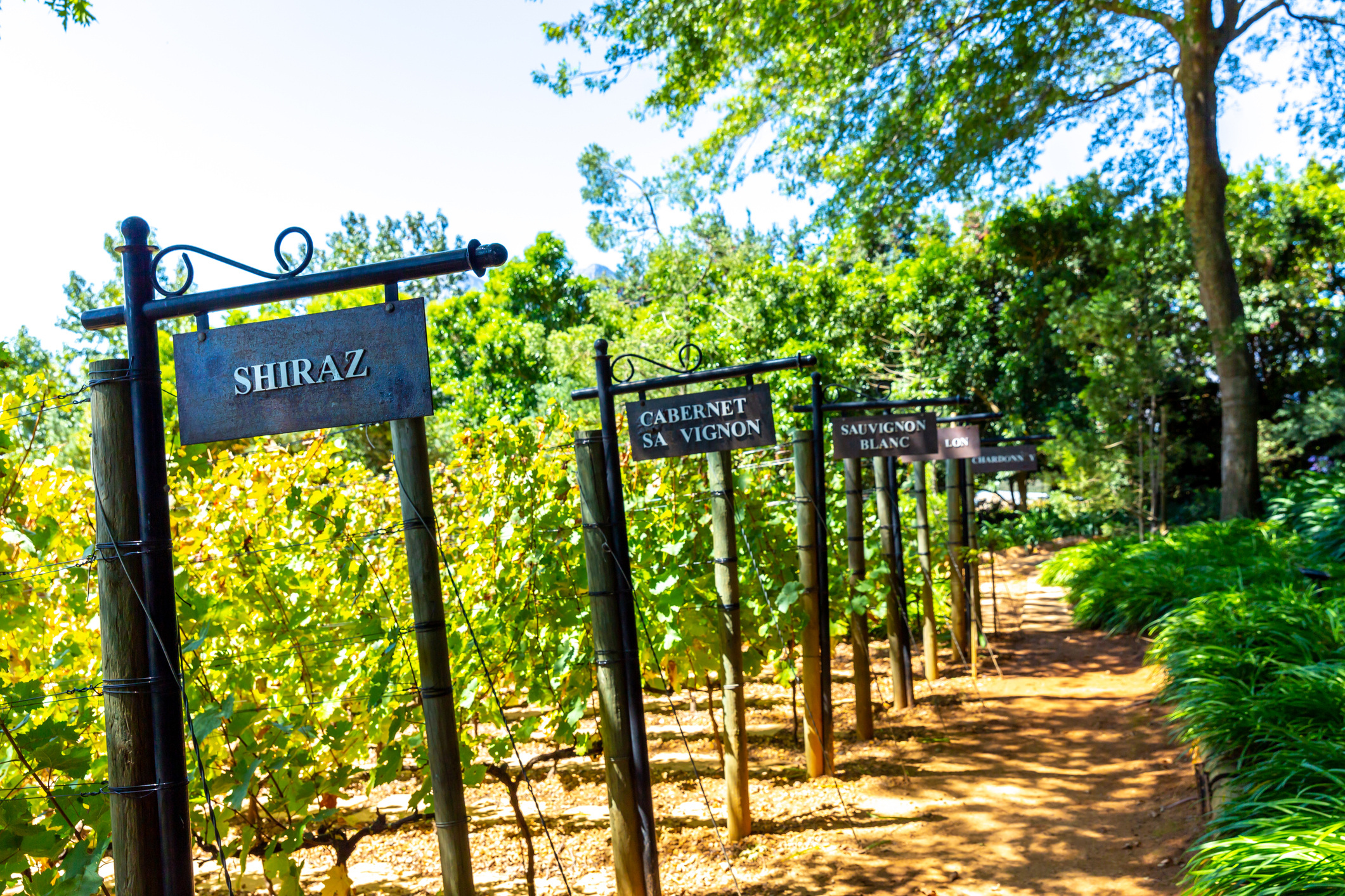 Stellenbosch